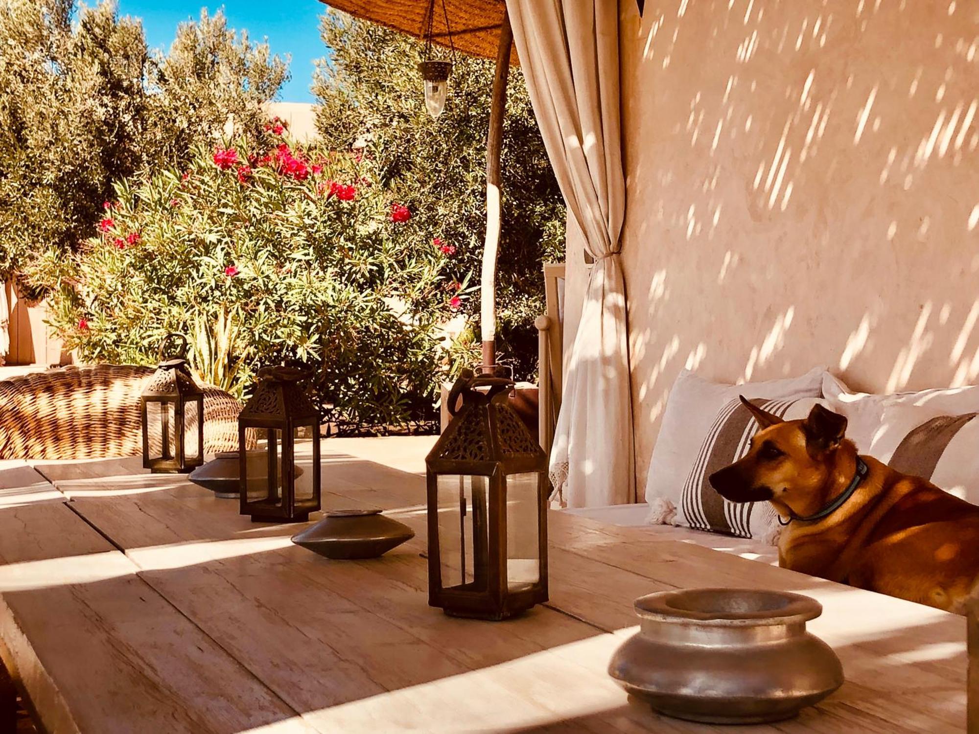 Dar Alya Essaouira Maison et table d'hôtes Al Ghar Exterior foto